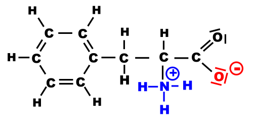 Phenylalanine nh3 coo