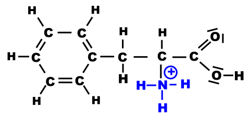 Phenylalanine nh3